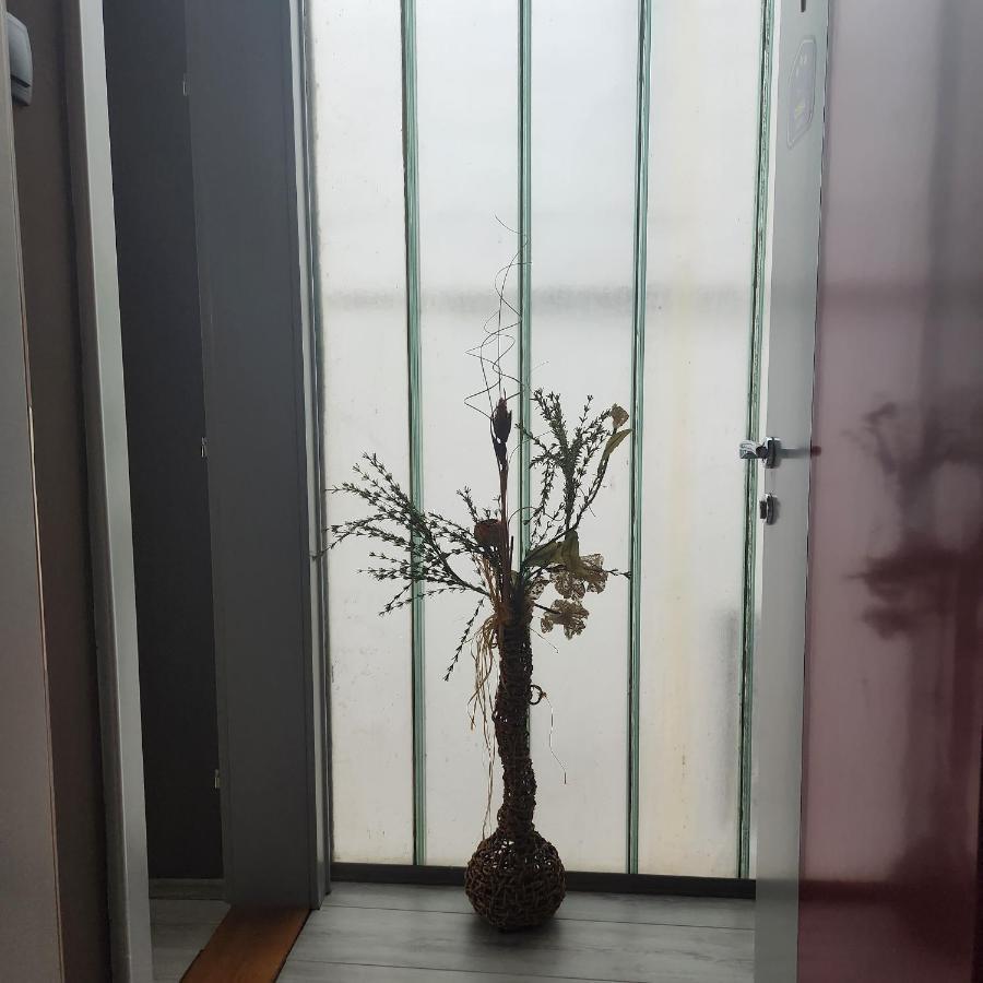 In Club Aparthotel Vrnjačka Banja Exteriör bild